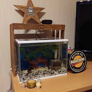 セリア 金魚水槽のインテリア実例 Roomclip ルームクリップ セリア 金魚水槽のインテリア実例 Roomclip ルームクリップ
