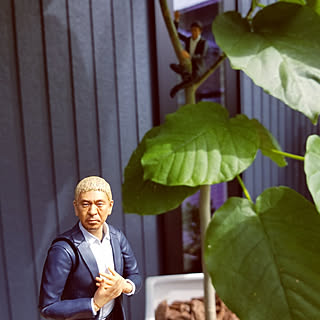 玄関/入り口/ウッドデッキgarden/ウンベラータ/外観/ダウンタウン...などのインテリア実例 - 2018-10-27 15:54:26