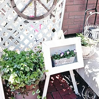 額縁プランターのインテリア実例 Roomclip ルームクリップ