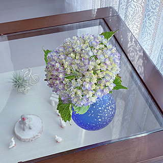 花瓶 あじさいのインテリア実例 Roomclip ルームクリップ