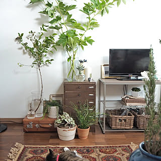 NO GREEN NO LIFE/フェイクグリーン/ナチュラルインテリア/ボヘミアン/BOHO...などのインテリア実例 - 2018-08-02 19:16:14