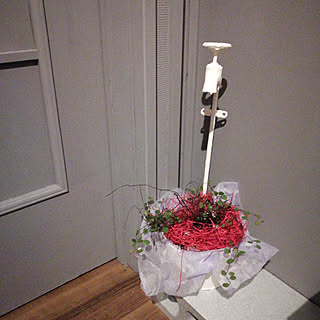 部屋全体/観葉植物/フラワーベース/DIYのインテリア実例 - 2020-01-23 18:32:28