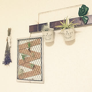 壁/天井/セリアの鉢/ラベンダーの香りに癒されます♡/エアプランツホルダー/エアプランツ初心者...などのインテリア実例 - 2018-03-09 19:24:58