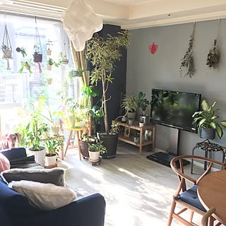 部屋全体/yチェア/壁紙屋本舗/北欧ファブリック/WOODPRO...などのインテリア実例 - 2017-03-20 15:53:58