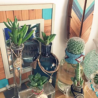 ハオルチア水耕栽培のインテリア実例 Roomclip ルームクリップ