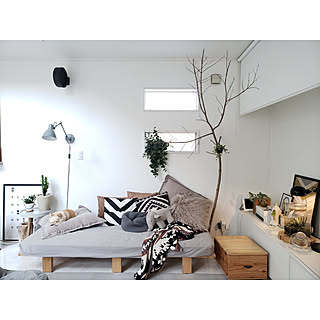 リビング/ig→mimt38/DIY/観葉植物/グレー...などのインテリア実例 - 2019-04-07 17:49:50