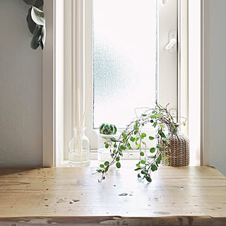 ワイヤープランツ 水耕栽培のインテリア実例 Roomclip ルームクリップ