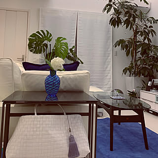 モンステラ/マルニ60/boconcept/ユナイテッドアローズ/ベネチアングラス...などのインテリア実例 - 2019-07-05 00:01:04