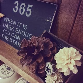 女性の、3LDK、家族住まいの「棚」についてのインテリア実例