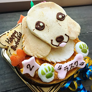 机/犬用ケーキ/インテリアじゃなくてごめんなさいのインテリア実例 - 2020-02-20 23:46:13