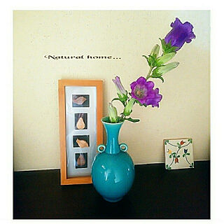 ナチュラル ターコイズブルーの花瓶のインテリア実例 Roomclip ルームクリップ