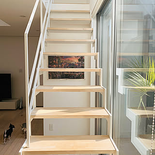 ジグソーパズル 階段のインテリア実例 Roomclip ルームクリップ