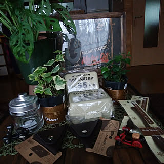 バス/トイレ/アイビー/休日♪/観葉植物のある暮らし/見てくれた方々有難うございます♬...などのインテリア実例 - 2017-10-16 17:06:41