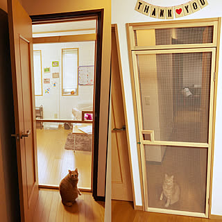 Diy 猫脱走防止diyのインテリア 手作りの実例 Roomclip ルームクリップ