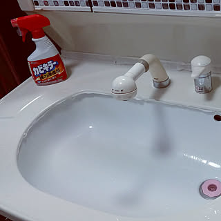 犬と暮らす家 積水ハウスの商品を使ったおしゃれなインテリア実例 Roomclip ルームクリップ