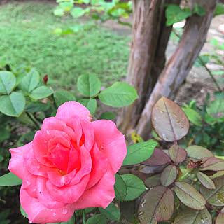 女性の、Other、家族住まいの「バス/トイレ」についてのインテリア実例