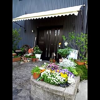 花盛り**。♪✿/カフェに間違われる/玄関/入り口/雑貨/植物...などのインテリア実例 - 2014-05-19 09:02:48