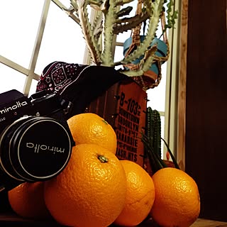 机/VitaminCでぴっちぴち/MINOLTA/ホワイトゴースト/Naoto発はっさく/はっさくはみかん?...などのインテリア実例 - 2016-02-10 17:37:02