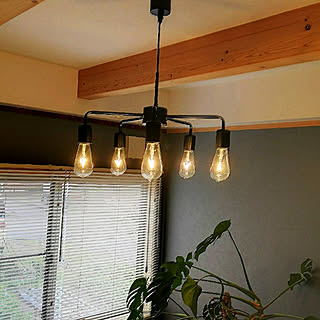 壁/天井/cafe風/ペンダントライト/ニトリ/LED電球...などのインテリア実例 - 2019-12-05 17:07:31