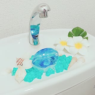 トイレ ビーチハウス風のインテリア実例 Roomclip ルームクリップ