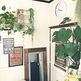 ベッド周り/ニトリ倶楽部会員❤/観葉植物/いつもいいねやコメありがとうございます♡/いいね!押し逃げばかりでごめんなさい。...などのインテリア実例 - 2017-01-19 10:28:11