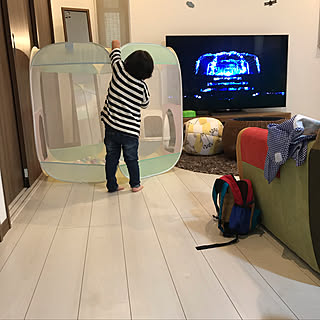 ボールハウスのインテリア実例 Roomclip ルームクリップ