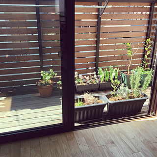 ワイドサッシのインテリア実例 Roomclip ルームクリップ