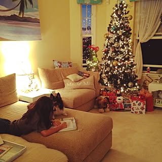 部屋全体/窓の向こうの空が好き/クリスマス/母さんお手上げ/ハワイ...などのインテリア実例 - 2015-12-06 16:51:09
