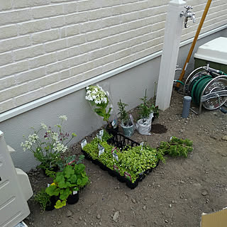 石だらけの庭のインテリア実例 Roomclip ルームクリップ