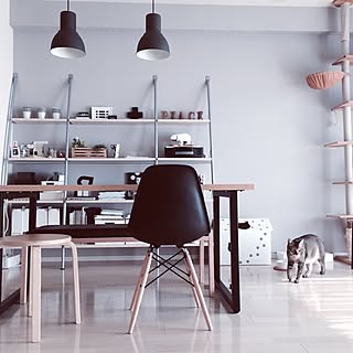 部屋全体/スツール/キャットタワー/ディスプレイ棚/ベンチ...などのインテリア実例 - 2015-08-09 16:58:18