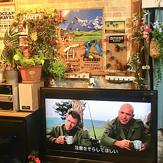 リビング/イーストウッド主演映画/No Green No Life/vintage/ねこと暮らす...などのインテリア実例 - 2019-02-05 21:52:26