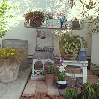 玄関 入り口 コケモモのインテリア実例 Roomclip ルームクリップ 玄関 入り口 コケモモのインテリア実例 Roomclip ルームクリップ