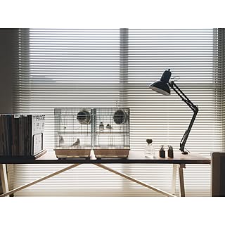 文鳥のいる暮らしのインテリア実例 Roomclip ルームクリップ 文鳥のいる暮らしのインテリア実例 Roomclip ルームクリップ