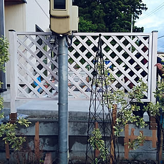 境界フェンスのインテリア実例 Roomclip ルームクリップ