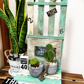 部屋全体/植物/すのこLOVE/すのこDIY/100均...などのインテリア実例 - 2016-06-21 12:40:23