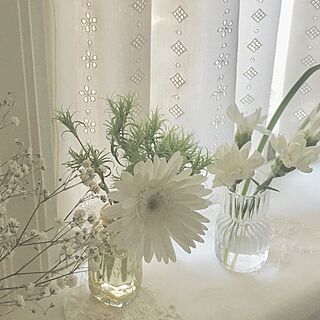 ナチュラル 白い花のおしゃれなインテリア 部屋 家具の実例 Roomclip ルームクリップ