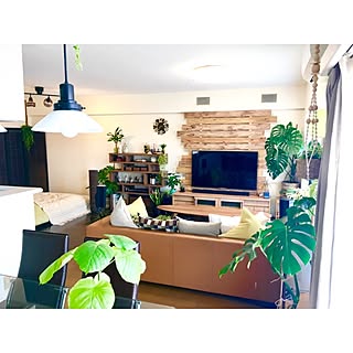 部屋全体/ウンベラータ/定点観測/壁掛けテレビ/SONY TV...などのインテリア実例 - 2017-04-15 15:05:59