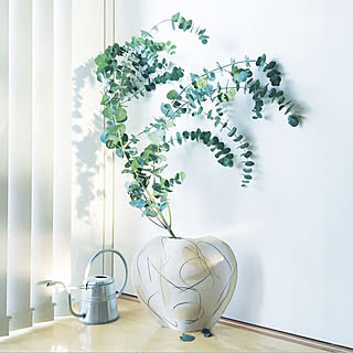 花瓶 ユーカリポポラスのインテリア実例 Roomclip ルームクリップ