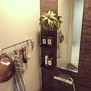 ミサワホーム/ミサワホーム蔵のある家/ニトリ/観葉植物/100均...などのインテリア実例 - 2020-02-24 22:33:13