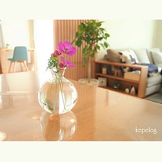 ナチュラル/北欧ナチュラル/シンプルナチュラル/ニトリ/一輪挿し...などのインテリア実例 - 2017-06-15 21:56:56