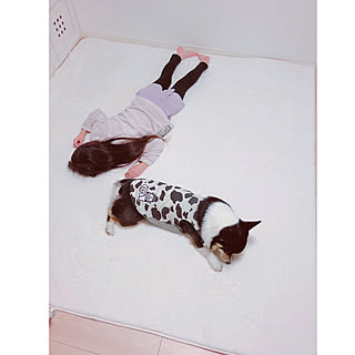 しまむら アリエルのまとめページ Roomclip ルームクリップ