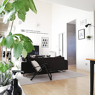 リビング/モノトーンナチュラル/モノトーン/観葉植物/ウンベラータ...などのインテリア実例 - 2020-01-22 18:11:41