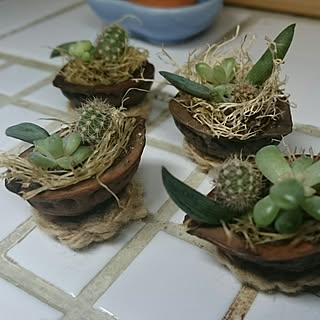 くるみ殻のインテリア実例 Roomclip ルームクリップ