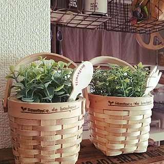 棚/セリア/フェイクグリーン/ガーデンピック/10分でできる...などのインテリア実例 - 2014-05-30 07:52:49