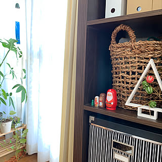 セリア/クリスマス/雑貨/植木鉢/ナチュラルインテリア...などのインテリア実例 - 2019-11-06 12:35:50