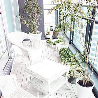 観葉植物 マンションベランダのインテリア実例 Roomclip ルームクリップ 観葉植物 マンションベランダのインテリア実例 Roomclip ルームクリップ