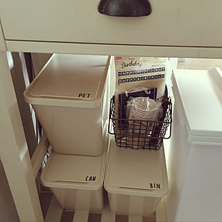 キッチン/ゴミ箱/カウンター下/分別ゴミ箱/キッチンゴミ箱...などのインテリア実例 - 2017-07-28 08:03:49