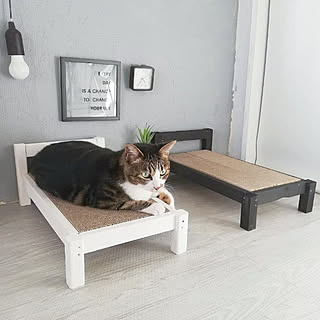 猫ベッドdiyのインテリア 手作りの実例 Roomclip ルームクリップ