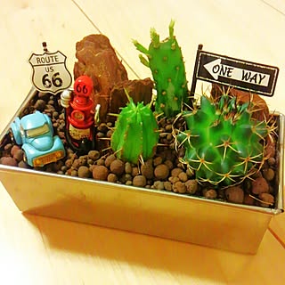 セリア サボテン寄せ植えのインテリア実例 Roomclip ルームクリップ セリア サボテン寄せ植えのインテリア実例 Roomclip ルームクリップ