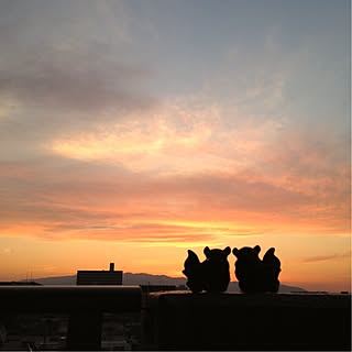 玄関/入り口/逆光なのでこんな感じ/かわりばえしない玄関付近/押し逃げゲリラ、展開中です/写真がうまく撮れるようになりたい♡...などのインテリア実例 - 2017-06-19 12:40:53